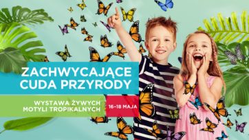 Wystawa żywych motyli tropikalnych w Atrium Biała